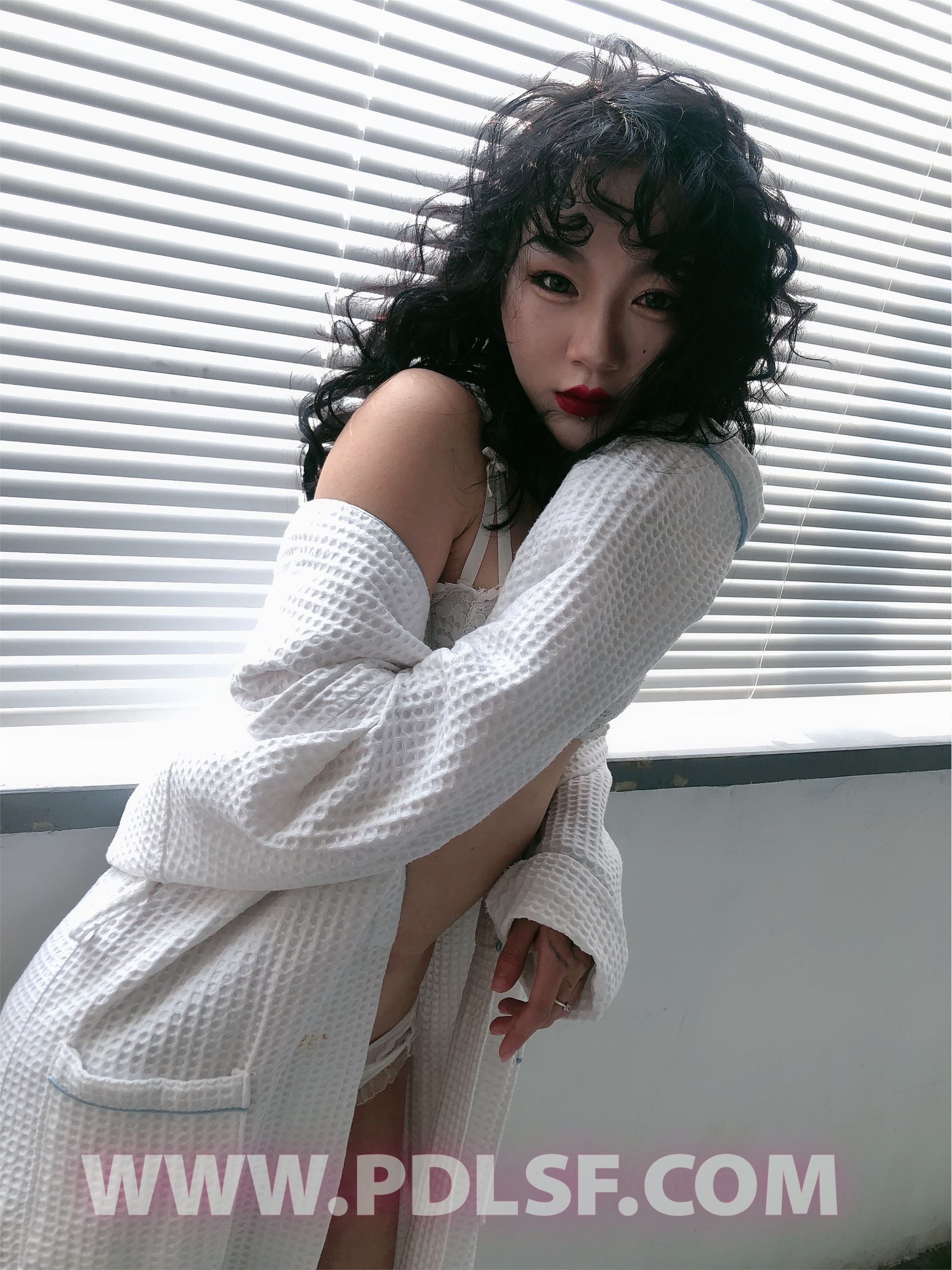 PDL潘多拉 2020.02.03 专辑No.277